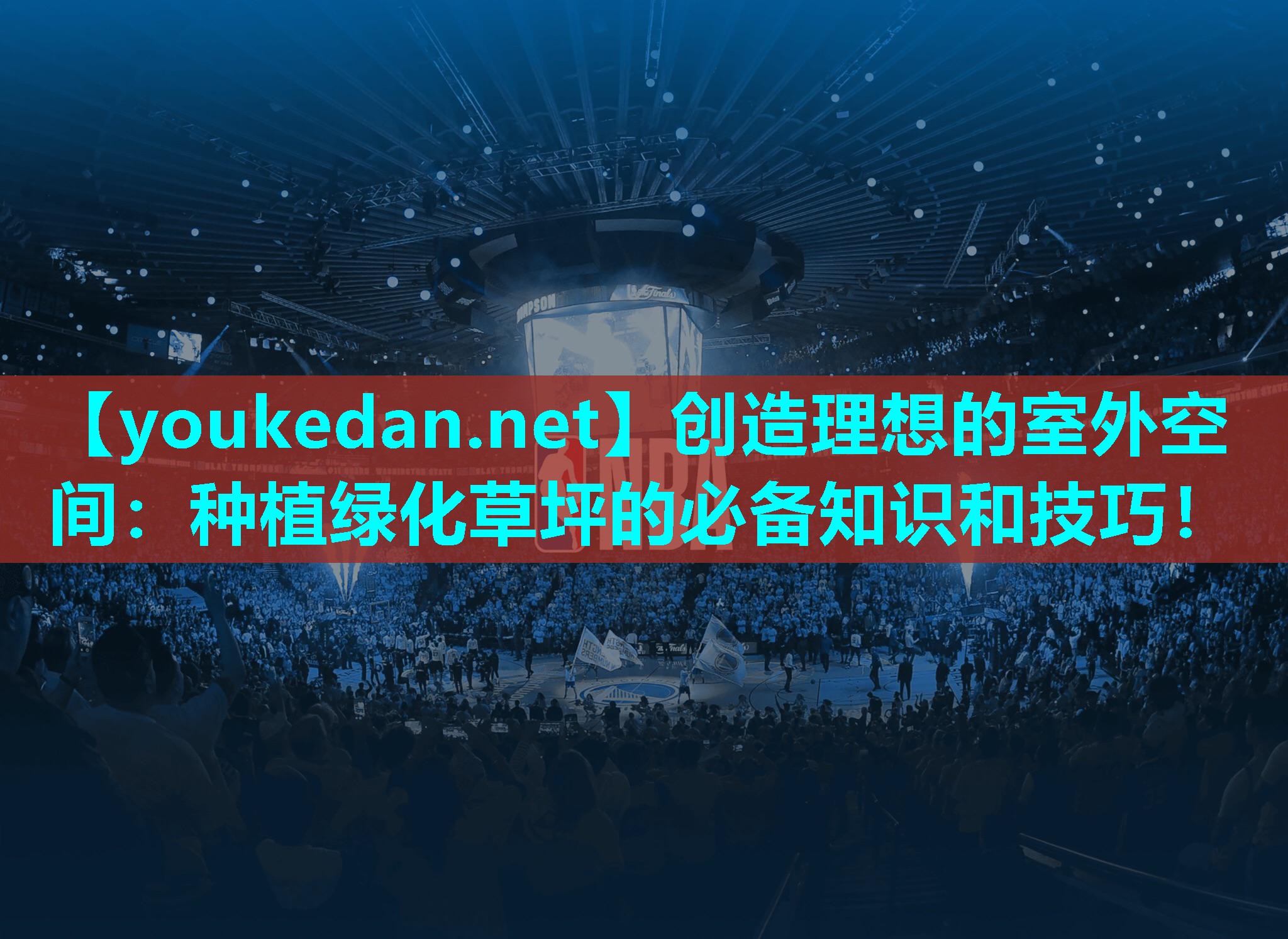 创造理想的室外空间：种植绿化草坪的必备知识和技巧！