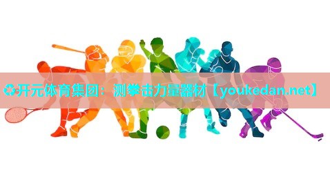 测拳击力量器材