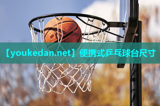便携式乒乓球台尺寸