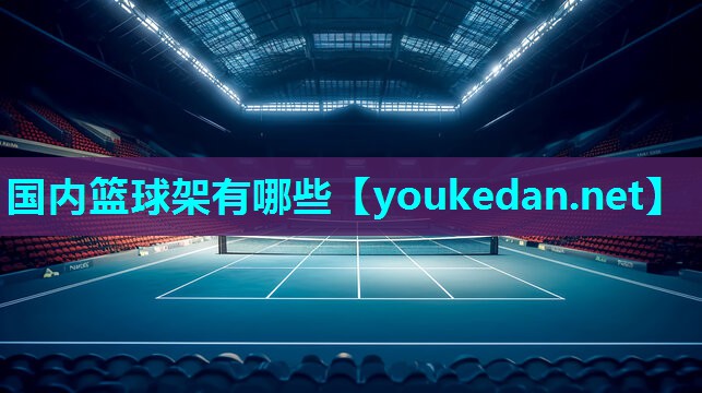 国内篮球架有哪些