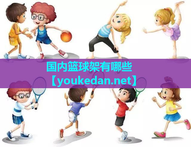 国内篮球架有哪些