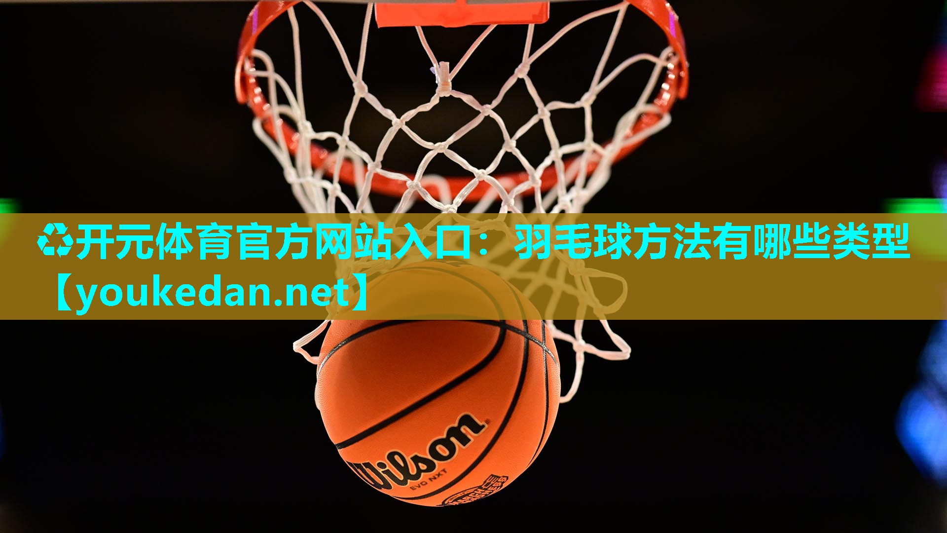 羽毛球方法有哪些类型
