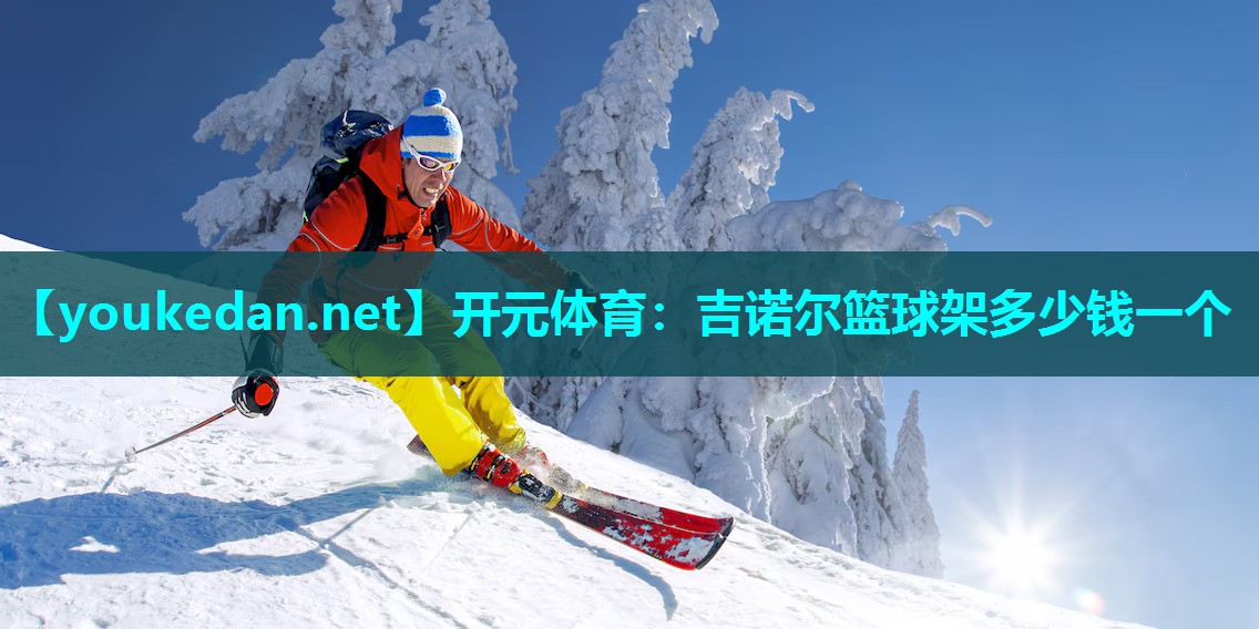 吉诺尔篮球架多少钱一个