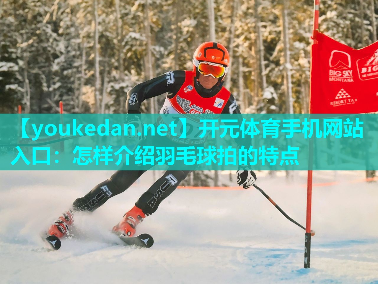 怎样介绍羽毛球拍的特点
