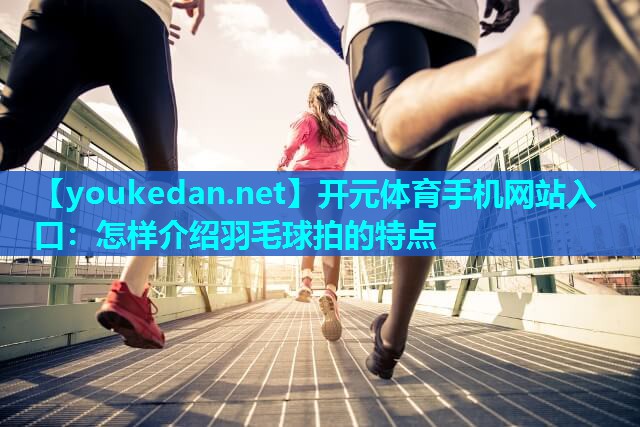 怎样介绍羽毛球拍的特点